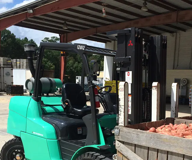 Forklift moving a wooden bin of sweet potatoes at an agricultural packing facility